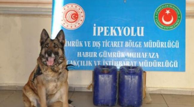 Habur Gümrük Kapısı'nda uyuşturucu ele geçirildi
