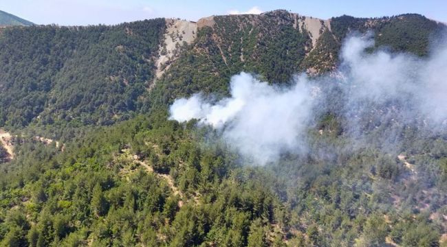 Hatay'da korkutan orman yangını!