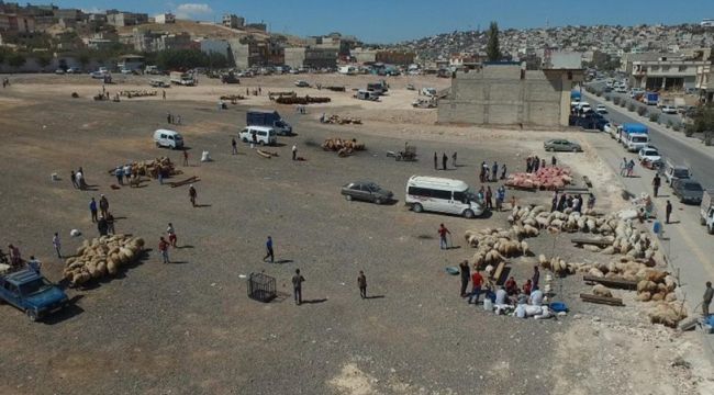 İBB’den Kurban Bayramı uyarıları