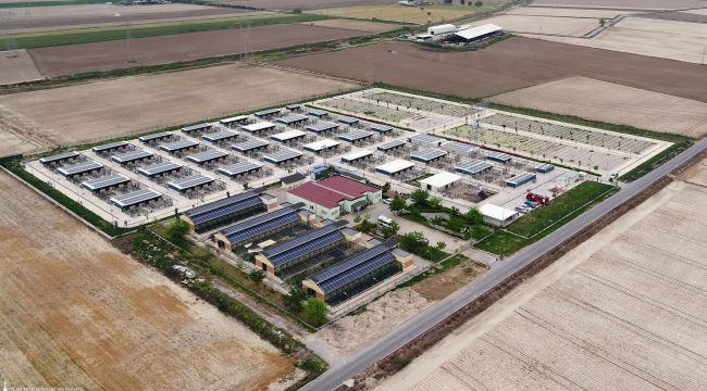 İZMİR’DE DÖRT TESİSE GÜNEŞ PANELİ KURULDU