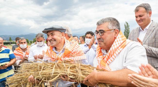 İZMİR'DE HASAT ZAMANI