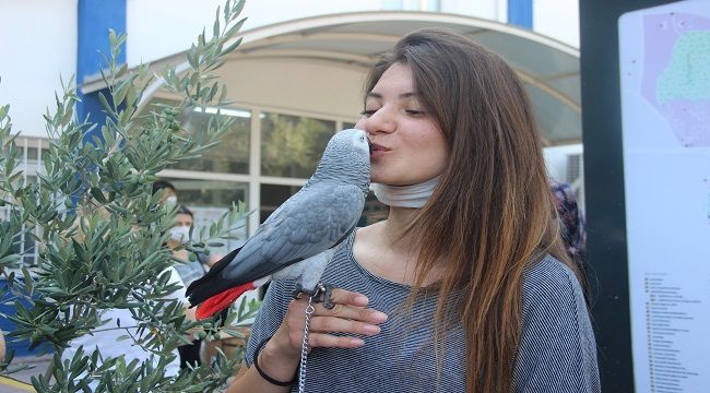 İZMİR'DE SOSYAL MESAFELİ YKS BAŞLADI