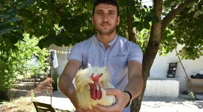 İZMİR’DEKİ BOYNUZLU HOROZ ŞOKE ETTİ !
