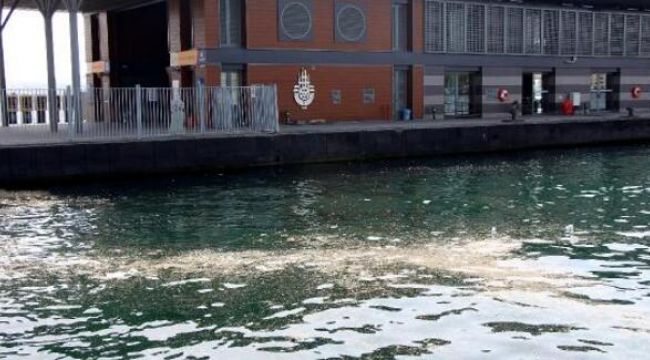 Karaköy Sahili çöp içinde kaldı