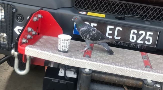 KARŞIYAKA&#039;DA GÜVERCİN OPERASYONU