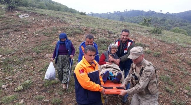 Kaybolan yaşlı kadın ormanlık alanda bulundu