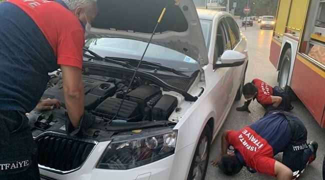 Kedi sesi duyunca hemen harekete geçti
