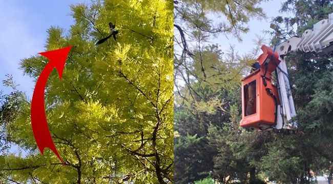 Konak'ta karga operasyonu