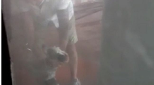 Köpeğini yıkamak için oto yıkamacıya getirdi, suyun altında işkence yaptı