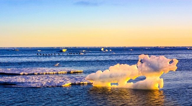 Kuzey Kutbu&#039;nda Rekor sıcaklık!