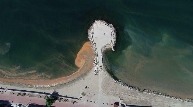 Marmara Denizi'nde turuncu dönem