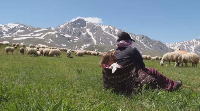 Minik Şirin’in kuzuyla aynı bohçada yolculuğu