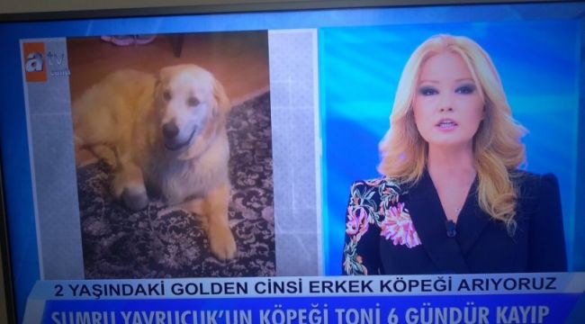 Müge Anlı usta oyuncu için harekete geçti