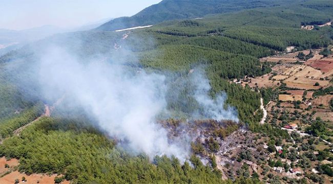 Muğla'da korkutan yangın