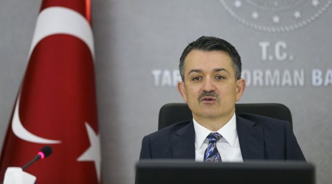 Muz üretimi yaklaşık 6 kat arttı