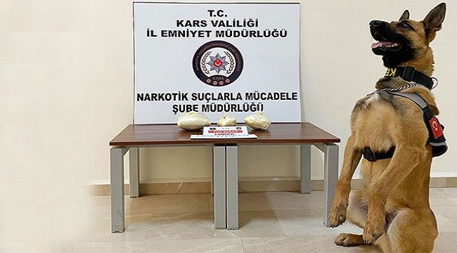 Odin'in zafer pozu