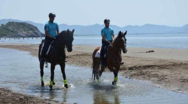 Ortaca sahilinde atlı jandarmalara turist ilgisi