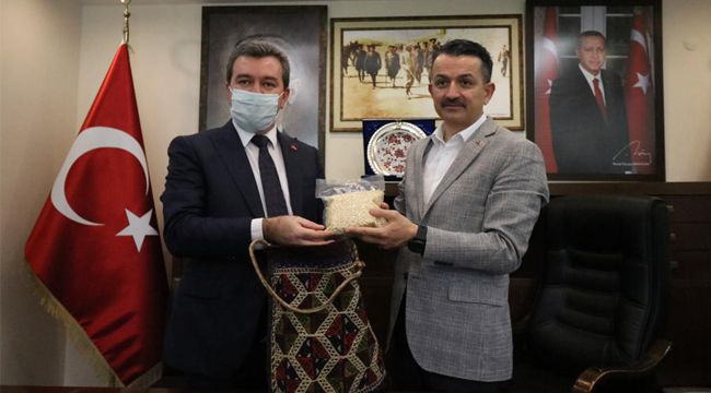 TARİHİ PROJEYE TARİHİ ADIM