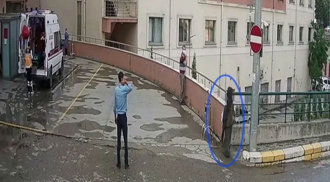 Boynundaki atkıyı duvara bıraktı