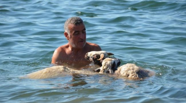 'Ade' ve 'Bade'yi kurbanlık yapmaya kıyamadı