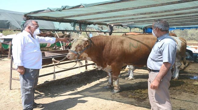 ALİAĞA’DA KURBAN KESİM YERLERİ BELİRLENDİ