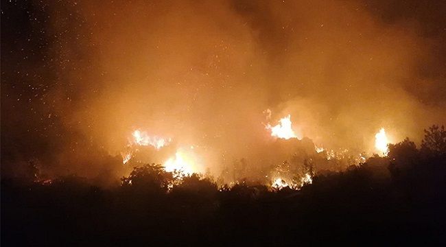 Antalya'da 5 hektarlık ormanlık alan zarar gördü