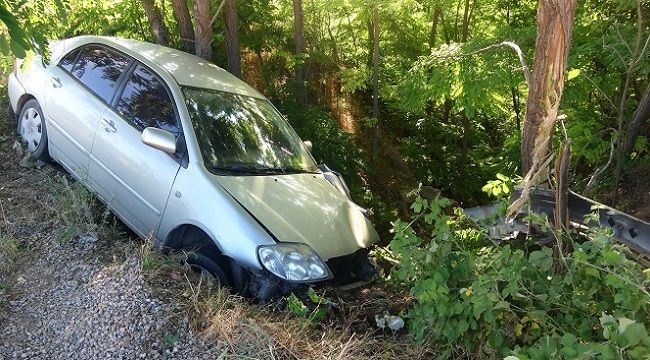 Aracın şarampole yuvarlanmasını ağaçlar önledi