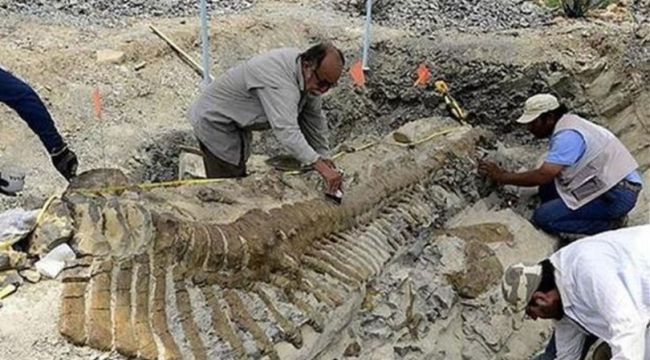Arjantin'de 70 yıl önce bulunmuştu