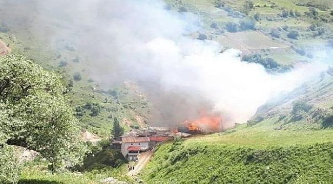 Artvin'de korkutan yangın