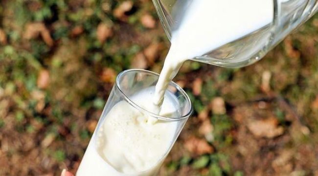 Bakan Pakdemirli'den 'çiğ süt desteği' açıklaması