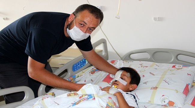 Başıboş sokak köpekleri, minik Bünyamin'in burnunu kopardı