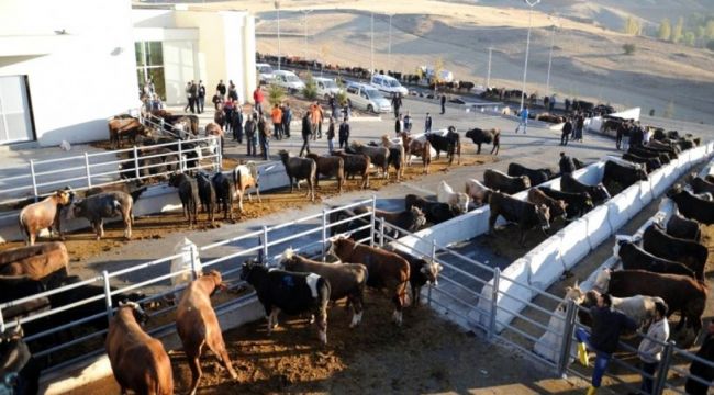 Bayram öncesi korkutan koronavirüs uyarısı