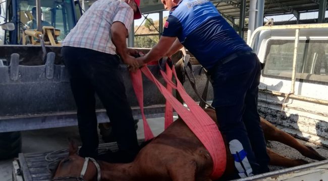 BERGAMA’DA YARALI ATA ZABITA ŞEFKATİ