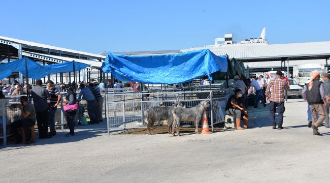 BERGAMA KURBAN BAYRAMI’NA HAZIR