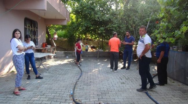 Bıçaklayarak yaraladığı Goldi'yi, gece gelip öldürdü!