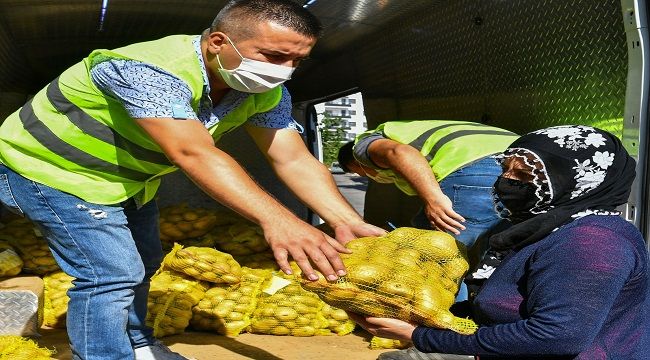 BÜYÜKŞEHİR, ÜRETİCİDEN 100 TON PATATES ALDI