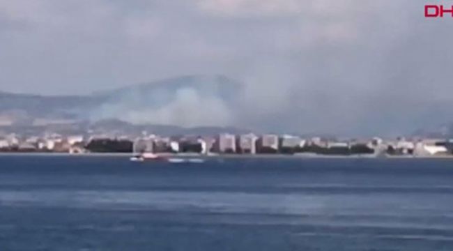 Çanakkale'de orman yangını