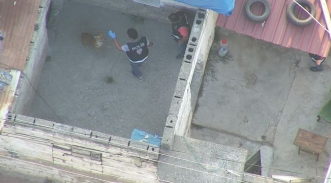 Çete operasyonunda polise pitbull şoku