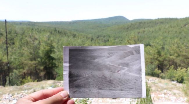 Çorak arazi 40 yılda ormana dönüştürüldü