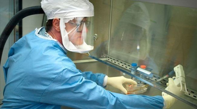 Covid-19 aşı adayının birinci aşama klinik denemeleri tamamladı