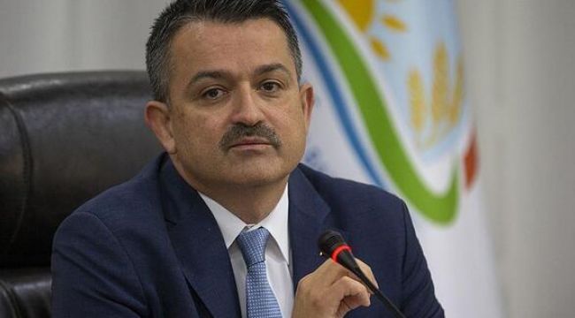 Destek ödemeleri bugün hesaplara yatıyor