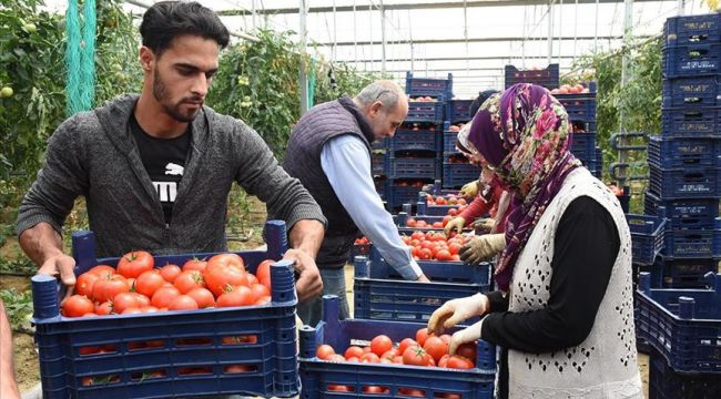 Devletten destek aldı üretimini 17 kat artırdı