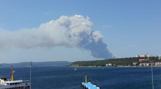 Gelibolu Yarımadası'nda orman yangını çıktı