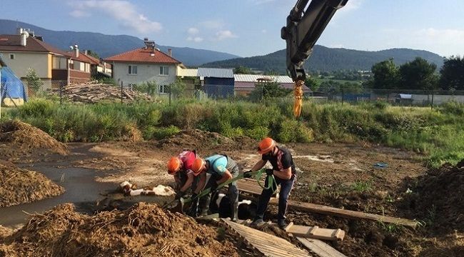 Gübre yığınına düşen buzağıları boğulmaktan itfaiye kurtardı