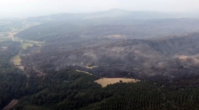 İHA'lar koordinat verdi orman ekipleri söndürdü
