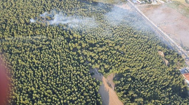 İzmir'de korkutan orman yangını kontrol altında