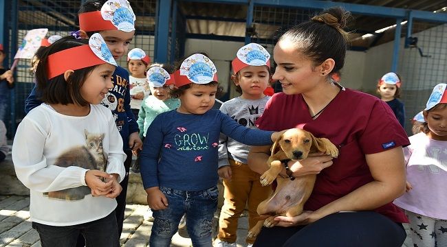 İZMİR’DE SOKAK HAYVANLARI İÇİN MERKEZ