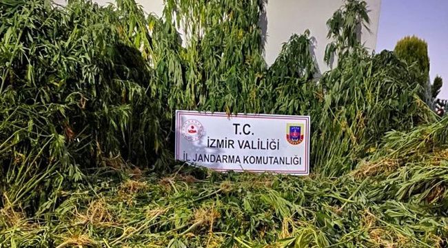 İZMİR'DE UYUŞTURUCU OPERASYONU