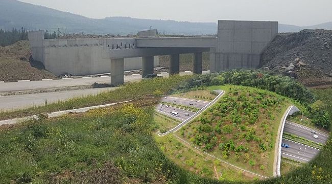 İZMİR'DEKİ EKOLOJİK KÖPRÜ HİZMETE GİRDİ