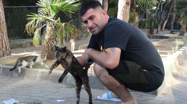 İZMİRLİ GENÇ, KEDİYİ EZMEMEK İÇİN KAZA YAPTI